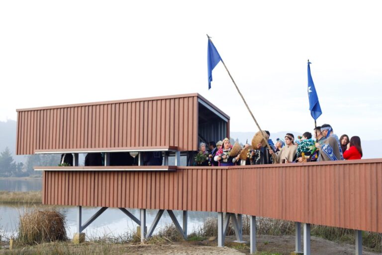 Inauguran pasarela que pone en valor el ecosistema estuarino de Queule